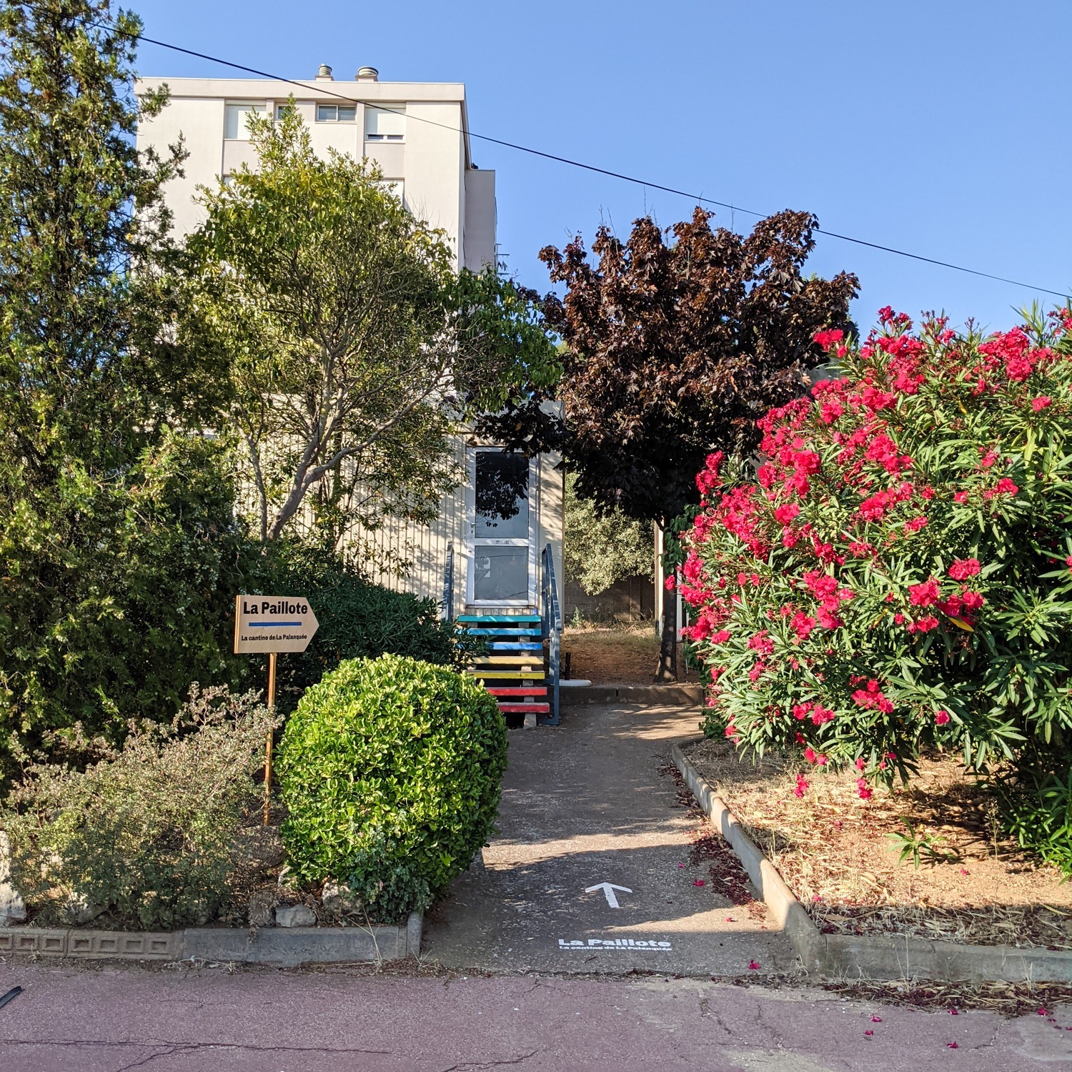 PXL_20210827_071737298 (2)
